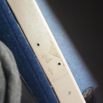 TCDD Sandıklı -Eskişehir Pamukkale Express 13.26 Seferi