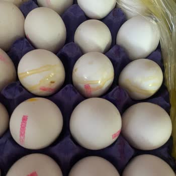 Şok Market Uygulaması Eksik Ve Kırık Eşya Getirdiler İade Yapmıyorlar