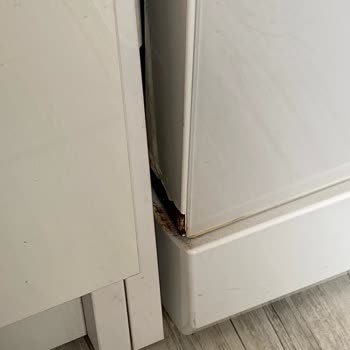 Beko Bulaşık Makinesi Paslanma Sorunu