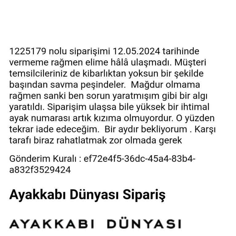 Ayakkabı Dünyası Sipariş Teslim Edilmemesi