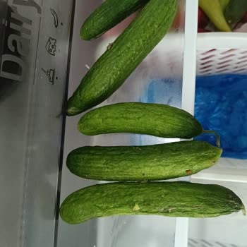 Arçelik'ten Şikayetçiyim Ürünümün Değişmesini İstiyorum