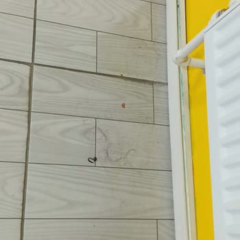 Anadolu Olimpik Hamamı, Spor Salonu Değil Sadece Hamamcılık