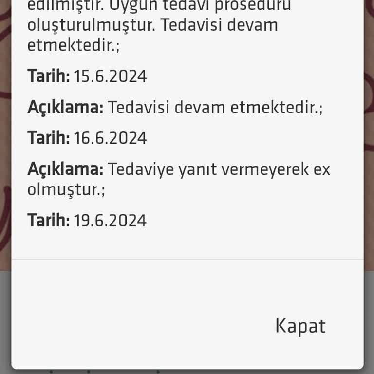 İzmir Büyükşehir Belediyesi Sokak Hayvanlarının Korunması
