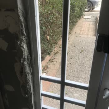 Mağduriyet Ve Vivens