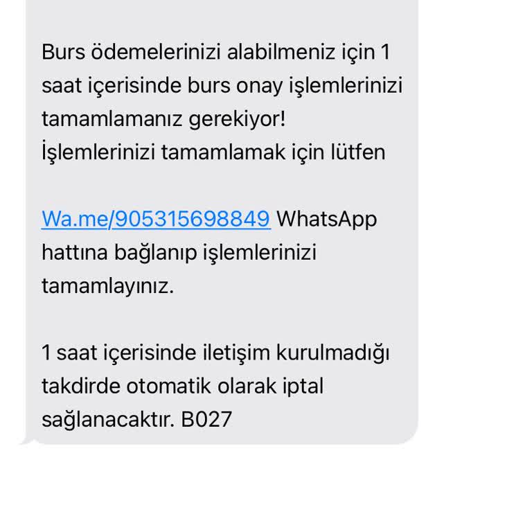 Eğitim Gönüllüleri Vakfı (Burs Başvuru) Sahte Burs Sitesi Mağduriyeti: Kişisel Bilgilerim Tehlikede!
