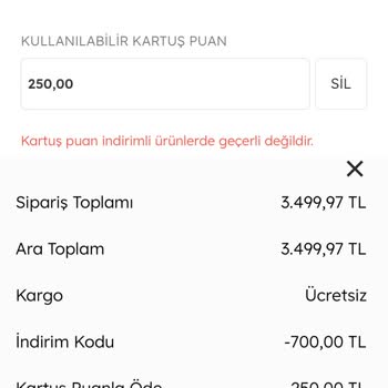 Mavi Kartuş Puan Kullanma Hatası