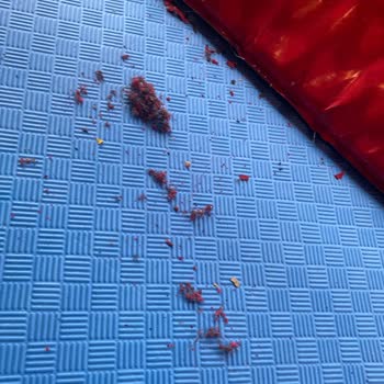 FlyZone Air Sports Flyzone Lens Şubesi