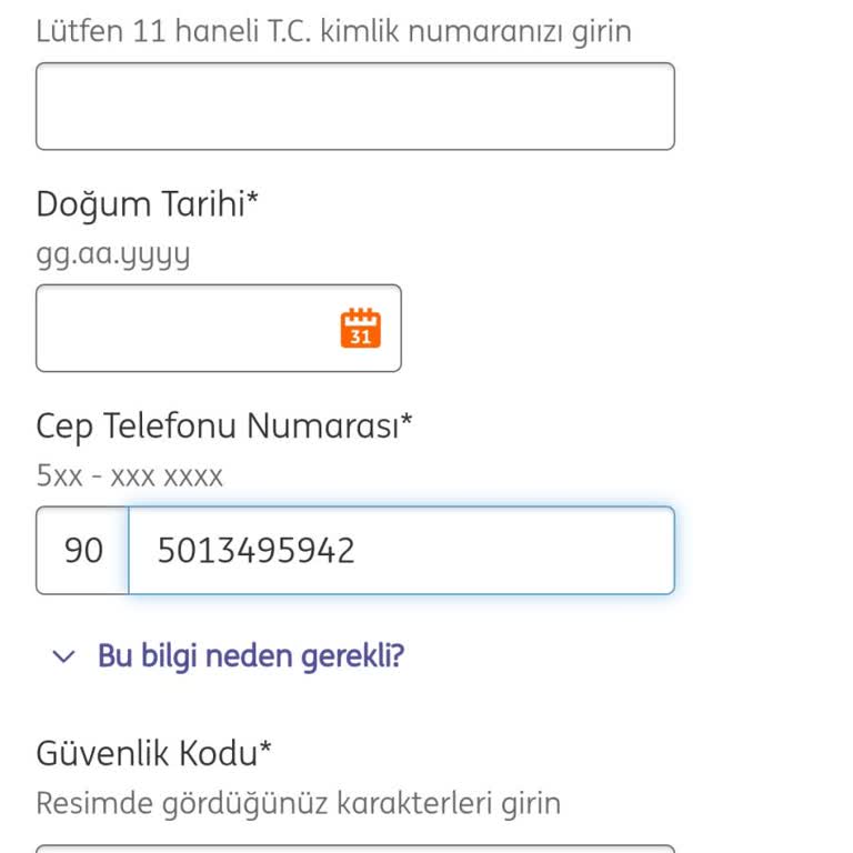 ING Onaylanmış Kredi Tarafıma Aktarılmadı
