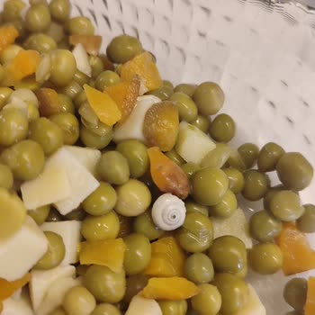 Tamek Garnitüre Salyangoz Eklemişler 😡