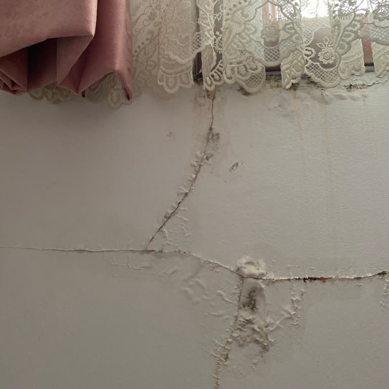 Tatil Sepeti Dolu Olan Odayı Satarak Tatilimizi Rezil Etti