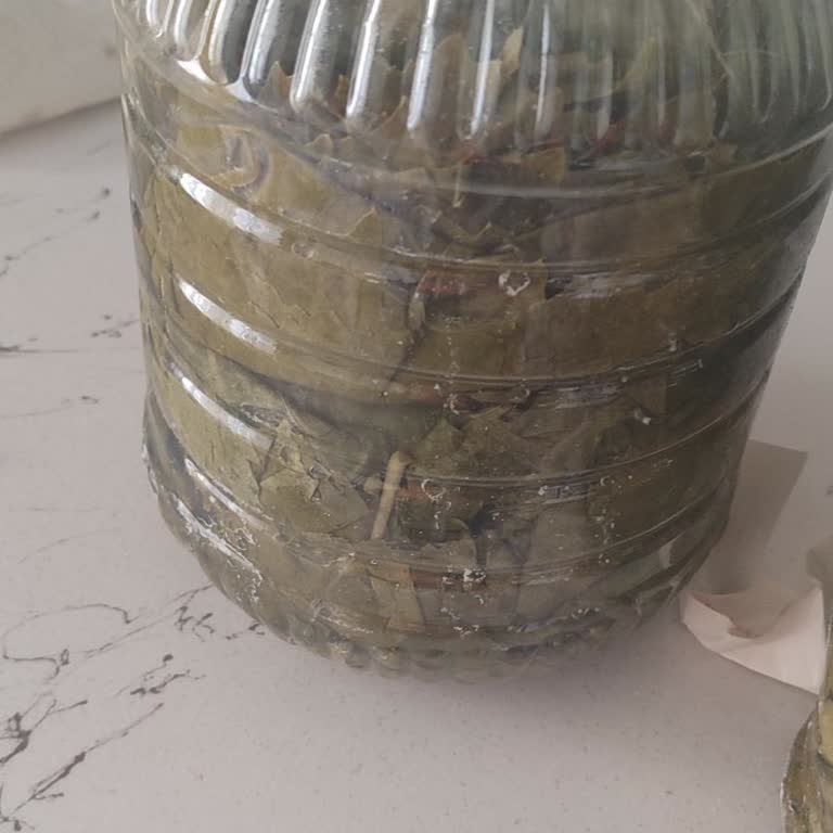 Fatmanın Bahçesi Asma Yaprağı Kötü Çıktı
