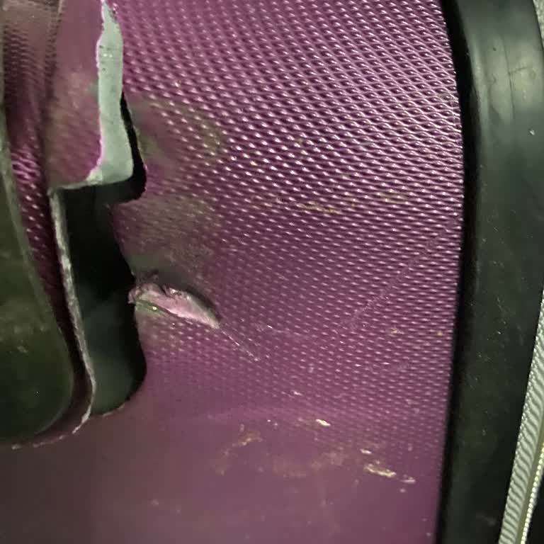 Sunexpress Uçuşumda Valiz Hasarı Ve İlgisiz Müşteri Hizmetleri