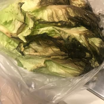 Getir Büyük Tam Bir Fiyasko Genelde Bozuk Çürümüş Kokmuş Ürünler