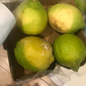 Getir Büyük Tam Bir Fiyasko Genelde Bozuk Çürümüş Kokmuş Ürünler