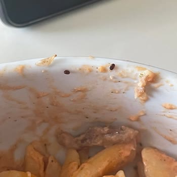 Migros'tan Alınan Pastavilla Marka Makarna Böceklenmiş.