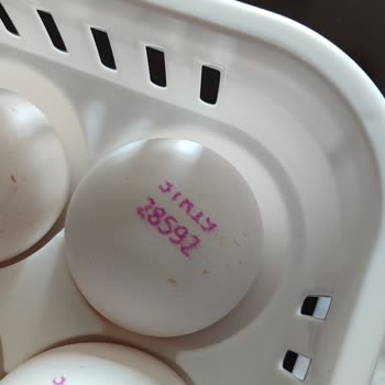 Öz Darende Yumurta L Boy Diye Satılan Yumurtalar 51-54 Gr