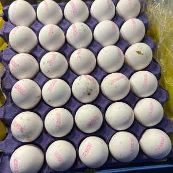 Şok Marketlerdeki Düzensizlik Koku Ve Pis Görüntü