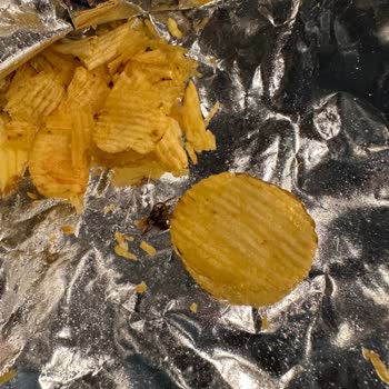 Ruffles Sade Cipsin İçinden Böcek Çıkması