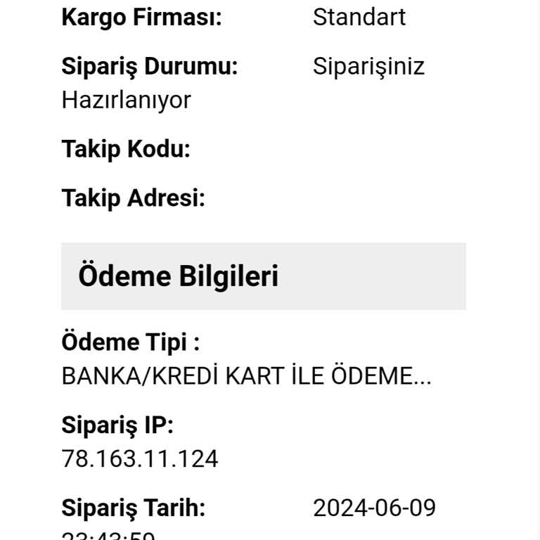 GelTeknoloji Kargolama Gecikmesi Sorunu