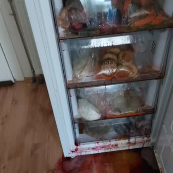 Arçelik Firması Nofrost Buzluğunun Kapak Kapanması Sorunu