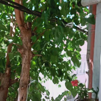 Boğaziçi Elektrik - BEDAŞ Yüksek Gelirim. Hattı Kablosu