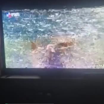 Beyaz TV'de Alaka Olmaması!
