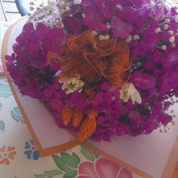 Çiçek Sepeti Pişmanlığı