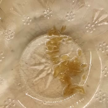 Küp Şarapçılık Geri Dönüş Bekliyorum