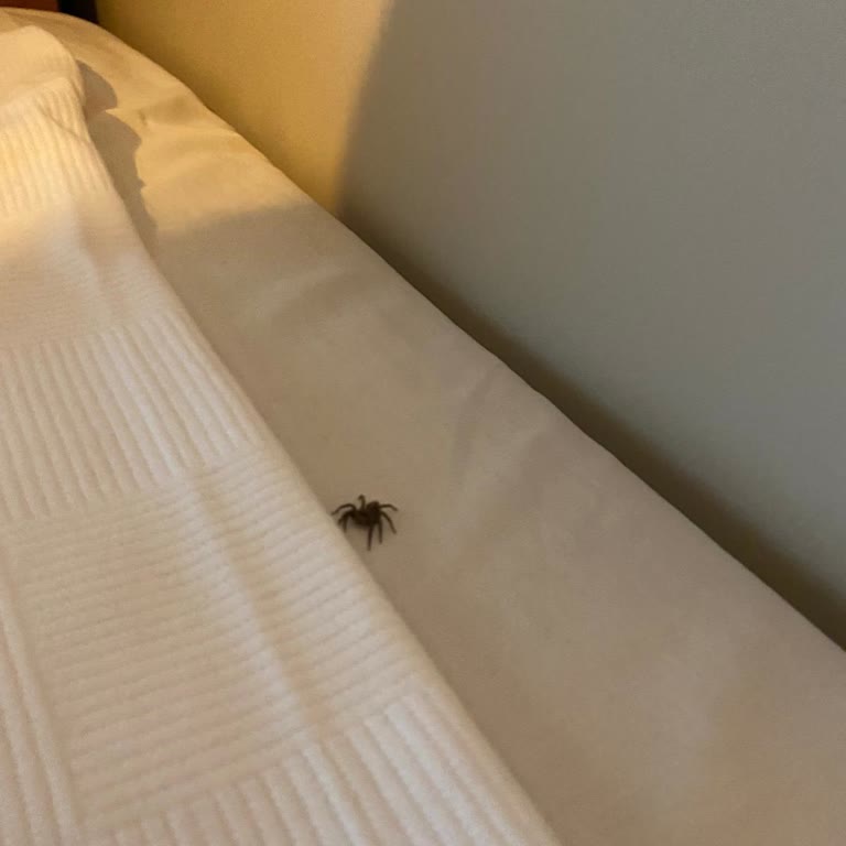 Aydınbey Hotels Sui Collection'da Yaşanan Sorunlar!