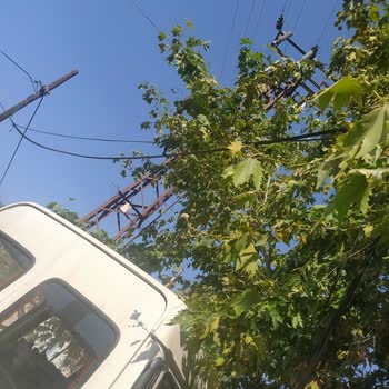 Türk Telekom İnternet Kablosu Kopma Sorunu