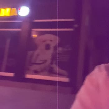 İPhone 15 Pro Mac Ön Kamera Şikayeti