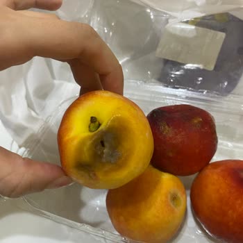 Getirsen Sipariş Verdiğim Meyveler Çürük Geldi