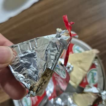 Pınar Et ve Süt Küflenmiş Üçgen Peynir