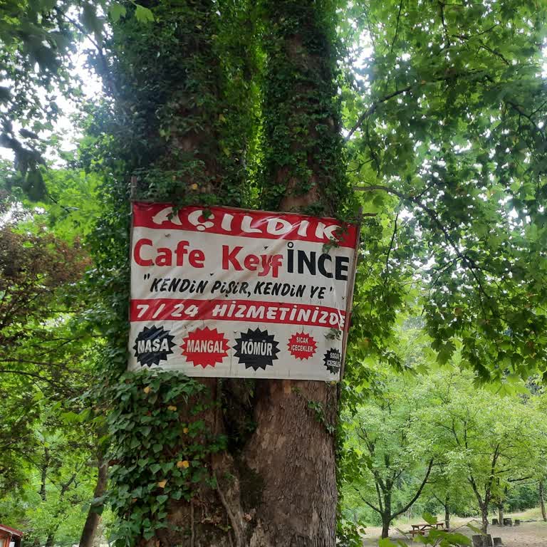 Sakarya Büyükşehir Belediyesi Maden Deresi Piknik Alanında Usulsüz Ücret Talebi Ve Kötü Muamele