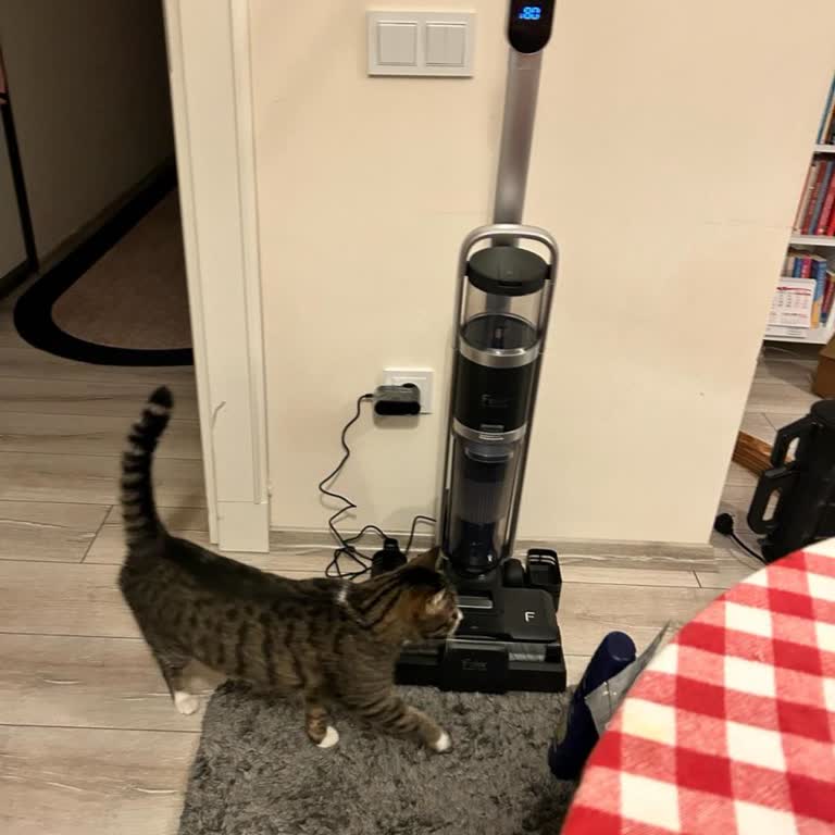 Fakir Ev Aletleri Fakirin Dikey Şarjlı Süpürge: Beklentilerin Altında Performans Ve Eksik Parçalar