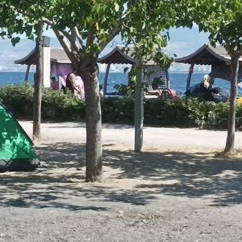 İzmir Büyükşehir Belediyesi İzmir Kent Ormanı Göçmen İstilasında.