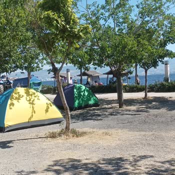 İzmir Büyükşehir Belediyesi İzmir Kent Ormanı Göçmen İstilasında.