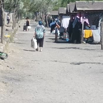 İzmir Büyükşehir Belediyesi İzmir Kent Ormanı Göçmen İstilasında.