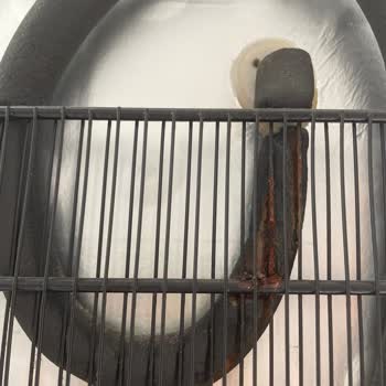 Arçelik 2070 MB Derin Dondurucu Çürüdü