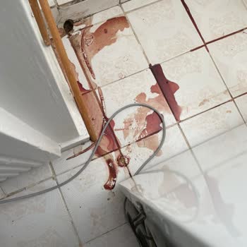 Arçelik 2070 MB Derin Dondurucu Çürüdü