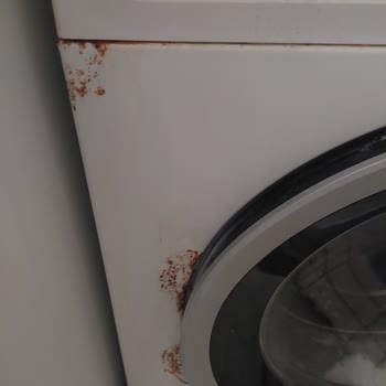 Profilo Buzdolabım Ve Çamaşır Makinemdeki Yoğun Pas Lekeleri