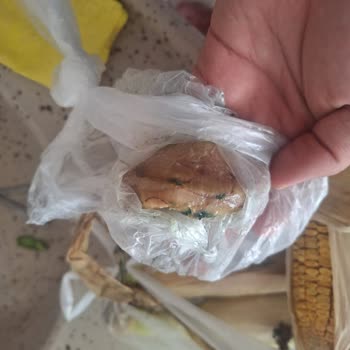 Migros Sanal Market Çürük Ürün Gönderiyor.