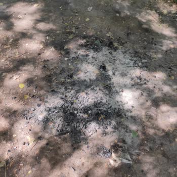 Gürün Belediyesi Gökpınar Doğal Yaşam Parkı Hijyen Sorunu