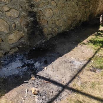 Gürün Belediyesi Gökpınar Doğal Yaşam Parkı Hijyen Sorunu