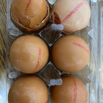 Yemeksepeti Market Ürünleri Kırık Dökülmüş Gönderip İadesi Yapmıyor