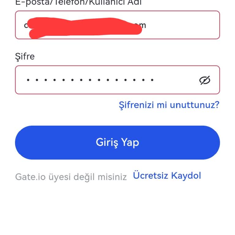 Gate.io Şifre Hatası Veriyor