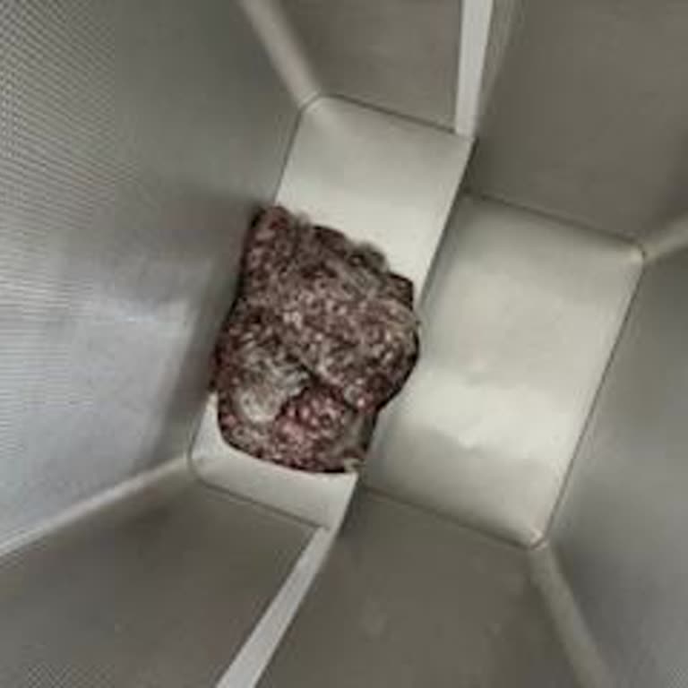 Beko Derin Dondurucu Sayesinde Etlerim Çöp Oldu