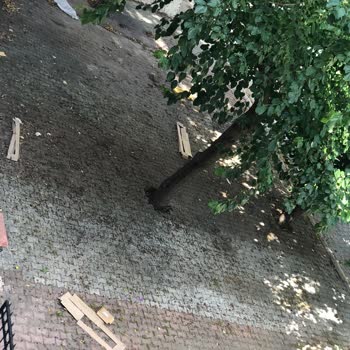 Maltepe Belediyesi Bağlarbaşı Mahallesi İnşaat Çöpleri Sorunu