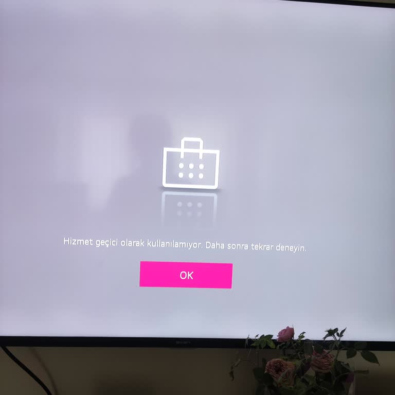 Sunny Hizmet Geçici Kullanılamıyor