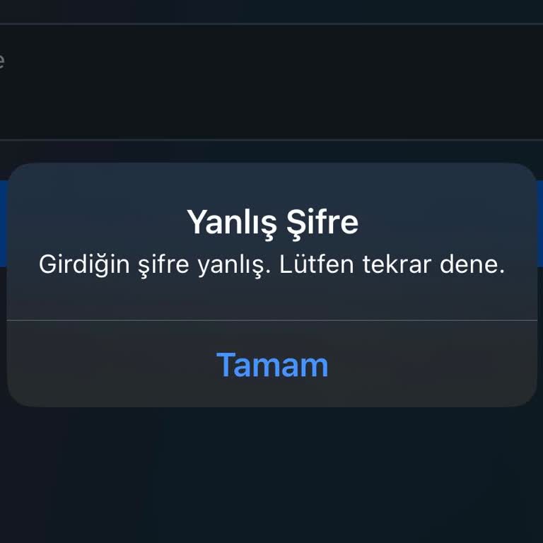Instagram Giriş Hatası!